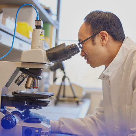 Researcher looking into microscope